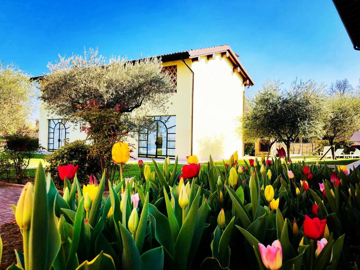 Agriturismo Bitturelli Ponti sul Mincio Exterior photo